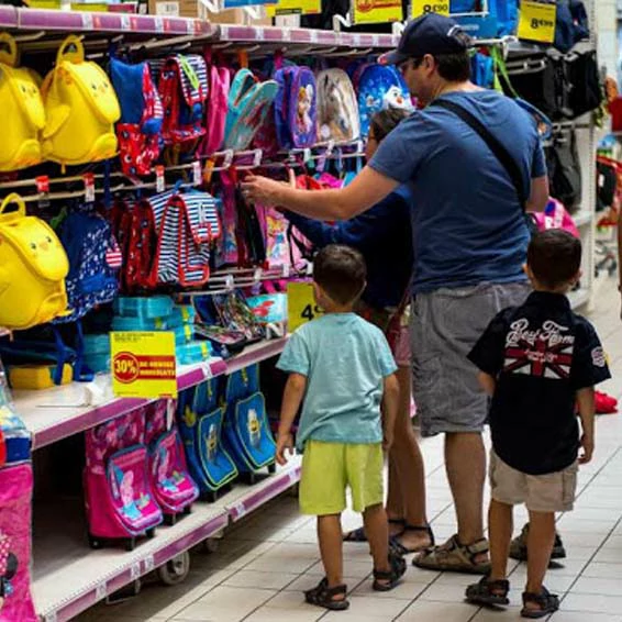 A Formação das Percepções de Consumo das Famílias