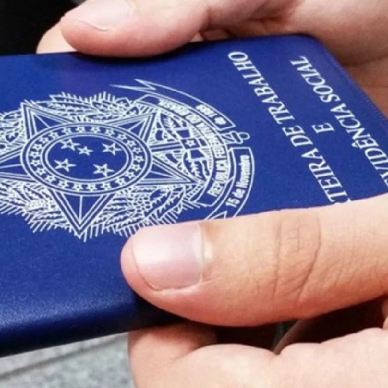 Emprego Formal e as evidências do Brasil e Região