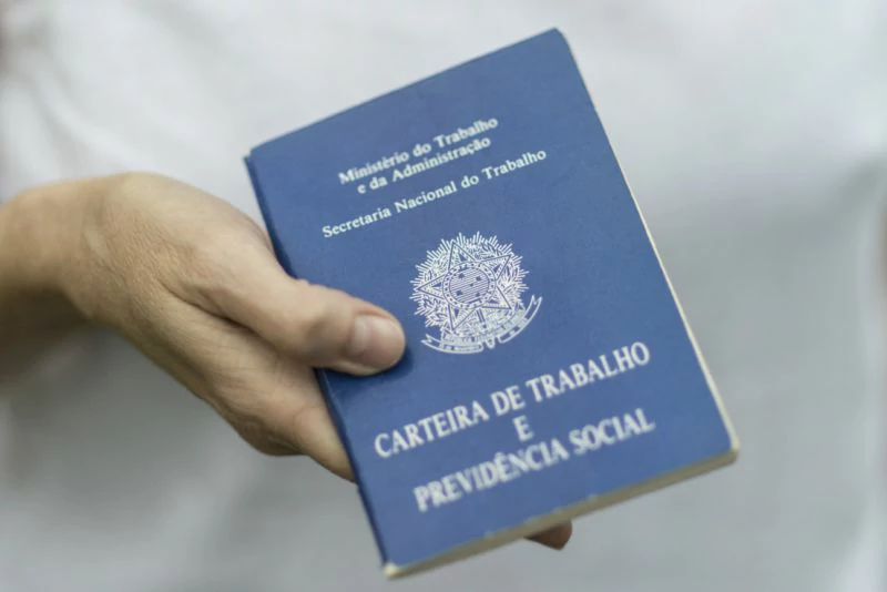 Informativo  29 - Comportamento das atividades econômicas